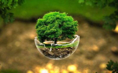 Lareiras Ecológicas: Sustentabilidade e Respeito ao Meio Ambiente