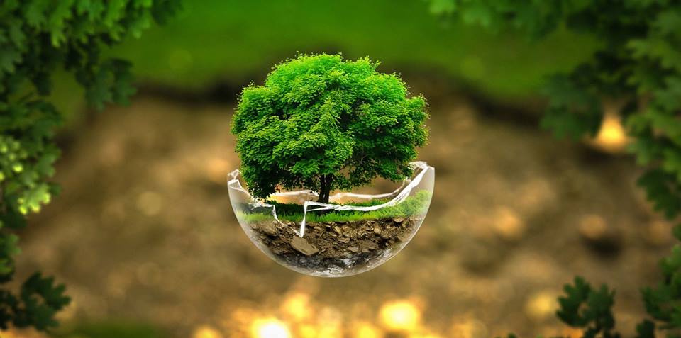 sala-rustica-compromisso-com-a-sustentabilidade