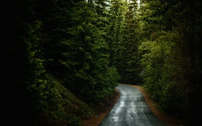8 Destinos de Inverno Para Aproveitar no Brasil 