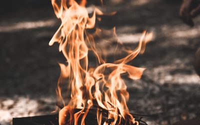 Dúvidas Sobre Lareiras? Descubra Tudo o Que Você Precisa Saber Sobre o Assunto